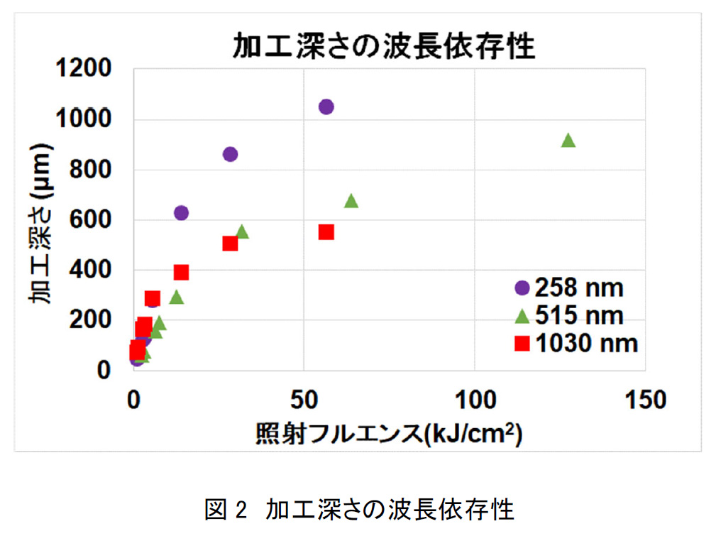 fig1