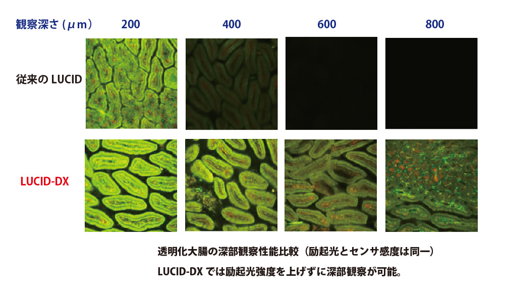 fig1