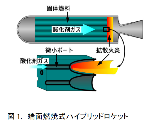 fig1